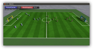 A survey of research on several problems in the RoboCup3D simulation environment