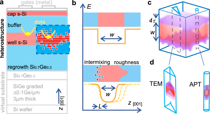 Modeling Si/SiGe quantum dot variability induced by interface disorder reconstructed from multiperspective microscopy