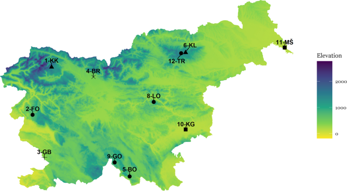 Mixed signals of environmental change and a trend towards ecological homogenization in ground vegetation across different forest types