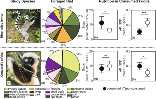 Dietary and Nutritional Selections by Ecologically Diverse Lemurs in Nonnative Forests