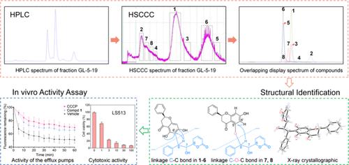 Uncovering the Power of HSCCC: Separation of Diastereomeric and Regioisomeric Styrylpyrones from the Stem Bark of Goniothalamus leiocarpus