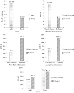 Evaluation of Superoxide Dismutase Isoforms Activity and Defense System-Related Proteins’ Expression in Ascochyta Blight-Infected Chickpea Using 2D Electrophoresis Technique