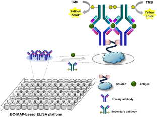 Improved enzyme-linked immunosorbent assay using surface-adhesive antibody-oriented immobilizing biolinker: a proof-of-concept study