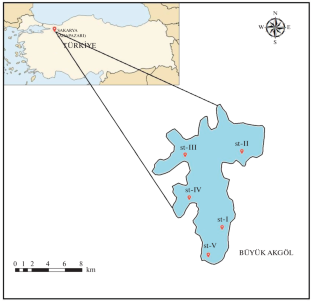 The Effect of Water Quality on the Structure and Distribution of Benthic Community and Evaluation of the Lake’s Water with Some Water Quality Indices: A Case Study of Büyük Akgöl Lake