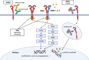 HER2-Positive Metastatic Colorectal Cancer.