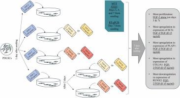 Effect of simultaneous and sequential use of TGF-β1 and TGF-β3 with FGF-2 on teno/ligamentogenic differentiation of periodontal ligament stem cells