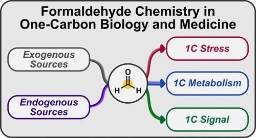 One Carbon to Rule Them All: Formaldehyde is a One-Carbon Signal Connecting One-Carbon Metabolism and Epigenetic Methylation