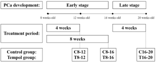 Differential tempol effects in prostatic cancer: angiogenesis and short- and long-term treatments