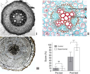 Visual plant anatomy: From science to education and vice versa