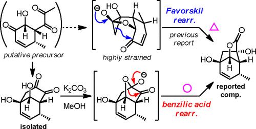 Isolation of Paraphaeoketones: A Plausible Biosynthetic Explanation for Paraphaeolactones via a Benzilic Acid Rearrangement Rather than a Favorskii Rearrangement