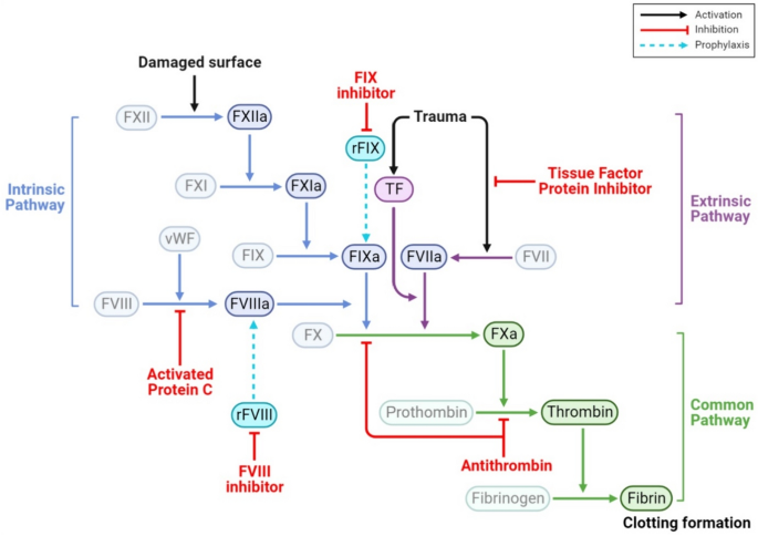 In vivo LNP-CRISPR Approaches for the Treatment of Hemophilia.