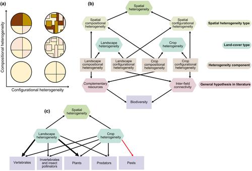 Crop and landscape heterogeneity increase biodiversity in agricultural landscapes: A global review and meta-analysis