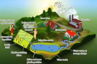 Micro and Nano Plastics Effect on Growth and Development of Rice (Oryza sativa L.): A Review