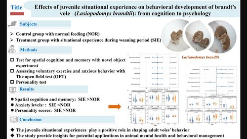 Effects of juvenile situational experience on behavioral development of Brandt's vole (Lasiopodomys brandtii): From cognition to psychology