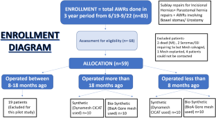 A comparison of patient-reported outcomes in patients undergoing abdominal wall repair with either synthetic or biosynthetic mesh: a pilot study.