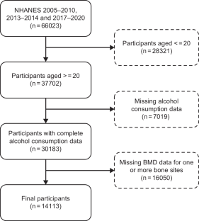 Association between alcohol intake and bone mineral density: results from the NHANES 2005-2020 and two-sample Mendelian randomization.