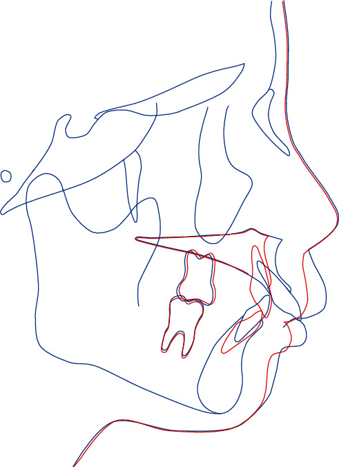 Abstract Image
