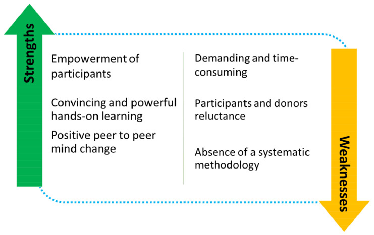 Strengths and weaknesses of the South-South Learning Exchange: a qualitative analysis of experts' perspectives.