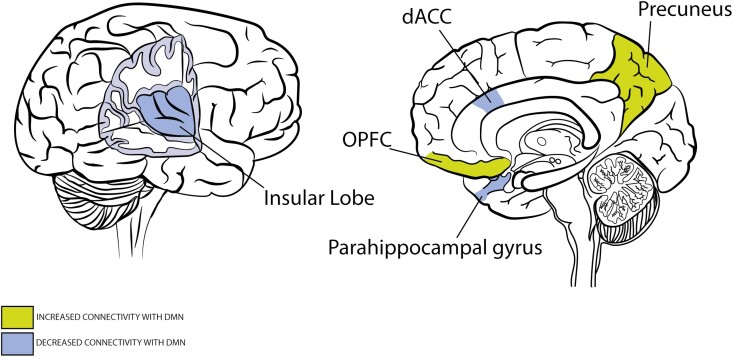 Neural, Anti-Inflammatory, and Clinical Effects of Transauricular Vagus Nerve Stimulation in Major Depressive Disorder: A Systematic Review.