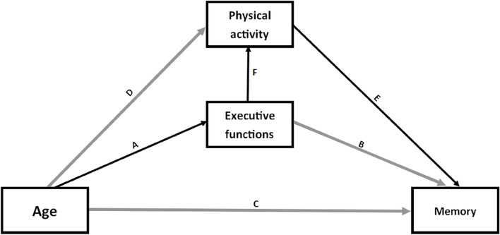 Protective effects of physical activity on episodic memory during aging are explained by executive functioning.