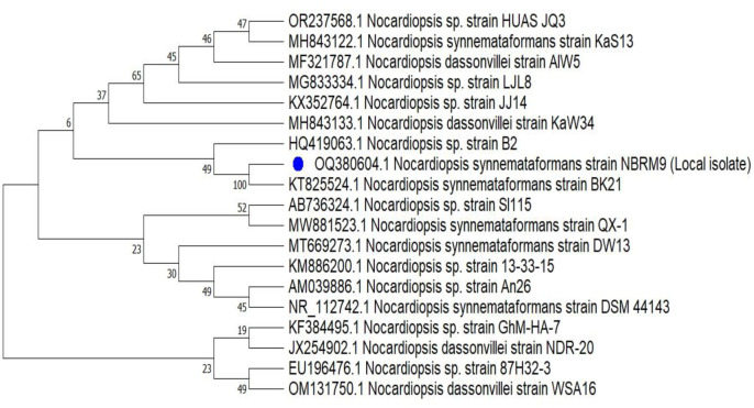 <i>Nocardiopsis synnemataformans</i> NBRM9, an extremophilic actinomycete producing extremozyme cellulase, using lignocellulosic agro-wastes and its biotechnological applications.