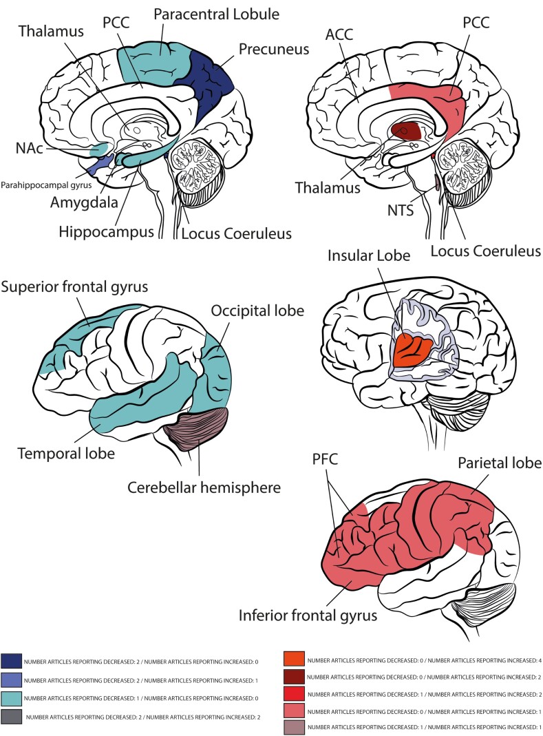 Neural, Anti-Inflammatory, and Clinical Effects of Transauricular Vagus Nerve Stimulation in Major Depressive Disorder: A Systematic Review.