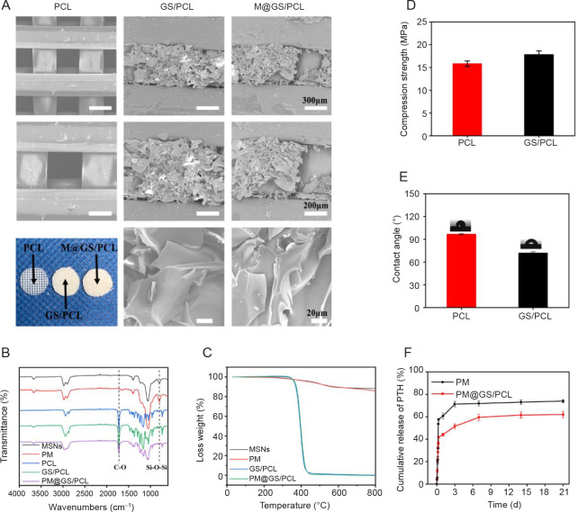 Meticulously engineered three-dimensional-printed scaffold with microarchitecture and controlled peptide release for enhanced bone regeneration.