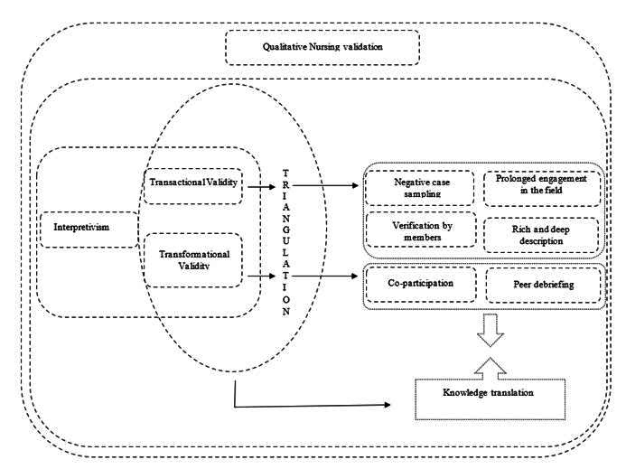 Qualitative nursing research: evidence of scientific validation from a translational perspective.