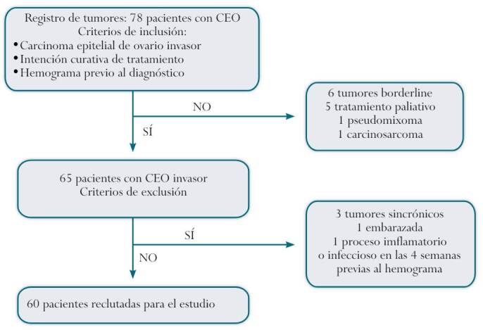 Preoperative neutrophil/lymphocyte ratio as prognostic factor in epithelial ovarian cancer