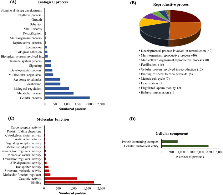 In-depth proteome characterization of endometrium and extraembryonic membranes during implantation in pig.