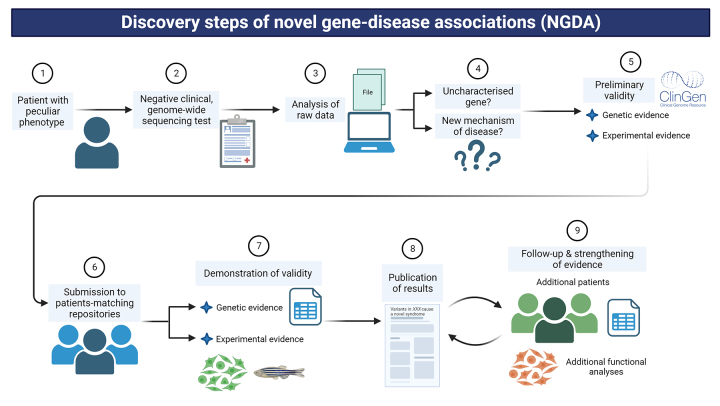 Discovery of novel genetic syndromes in Latin America: Opportunities and challenges.
