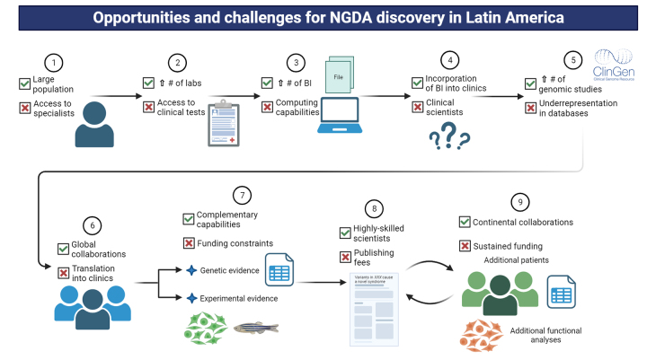 Discovery of novel genetic syndromes in Latin America: Opportunities and challenges.