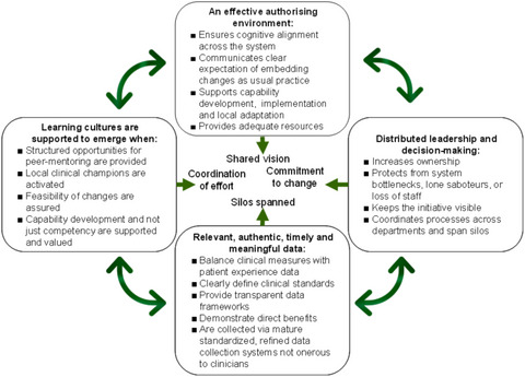 Four System Enablers of Large-System Transformation in Health Care: A Mixed Methods Realist Evaluation.