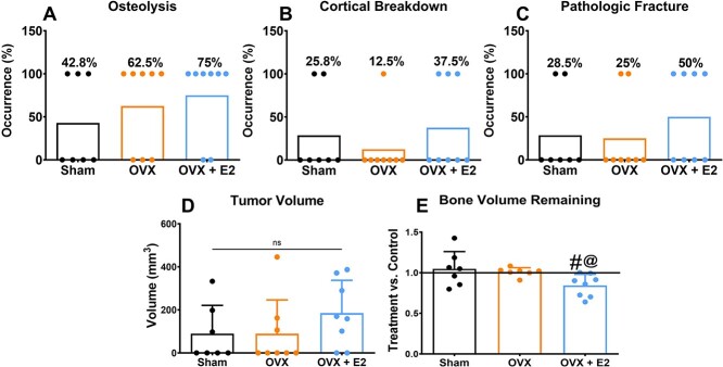 Estradiol induces bone osteolysis in triple-negative breast cancer via its membrane-associated receptor ERα36.