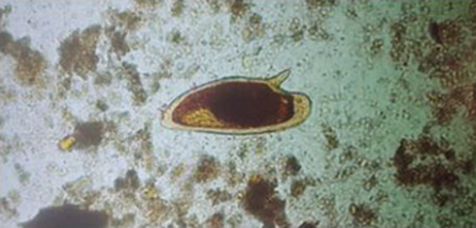 Abstract Image