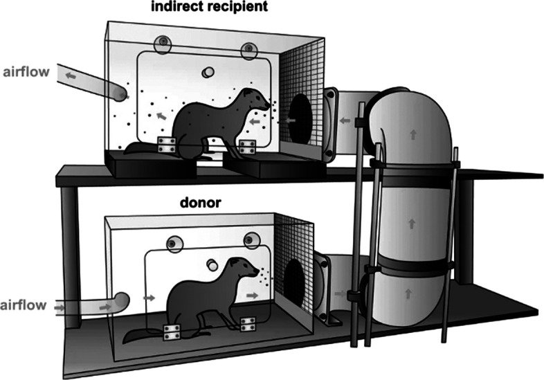 Care, management, and use of ferrets in biomedical research.