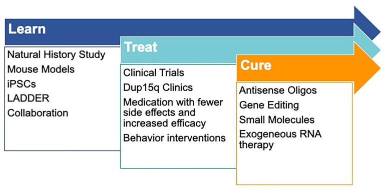 An integrated action plan to fund and support drug development for Dup15q syndrome: a patient organization perspective.