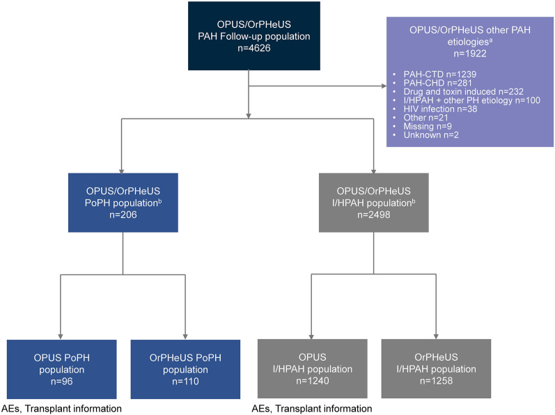 Safety of Macitentan for the Treatment of Portopulmonary Hypertension: Real-World Evidence from the Combined OPUS/OrPHeUS Studies.