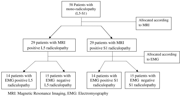 The Diagnostic Role of Adding the Hoffman Reflex for L5 Radiculopathy in the Electrodiagnostic Laboratory: A Cross-sectional Study.