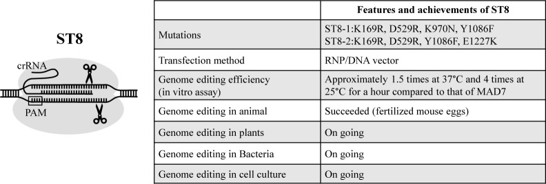 Cas12a and MAD7, genome editing tools for breeding.