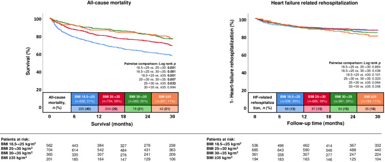 Obesity Paradox in Heart Failure with Mildly Reduced Ejection Fraction.