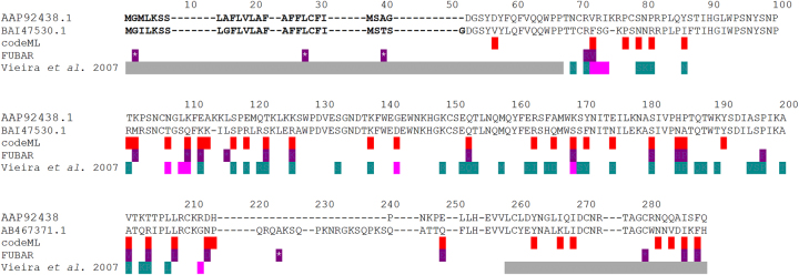 Auto-phylo v2 and auto-phylo-pipeliner: building advanced, flexible, and reusable pipelines for phylogenetic inferences, estimation of variability levels and identification of positively selected amino acid sites.