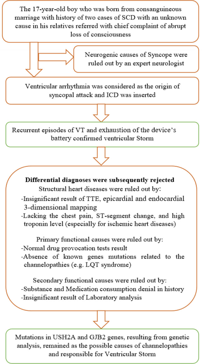 The association between GJB2 gene (producing Cx26 protein) and the ventricular storm: A case report.