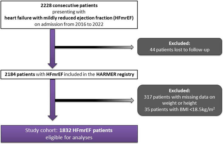 Obesity Paradox in Heart Failure with Mildly Reduced Ejection Fraction.
