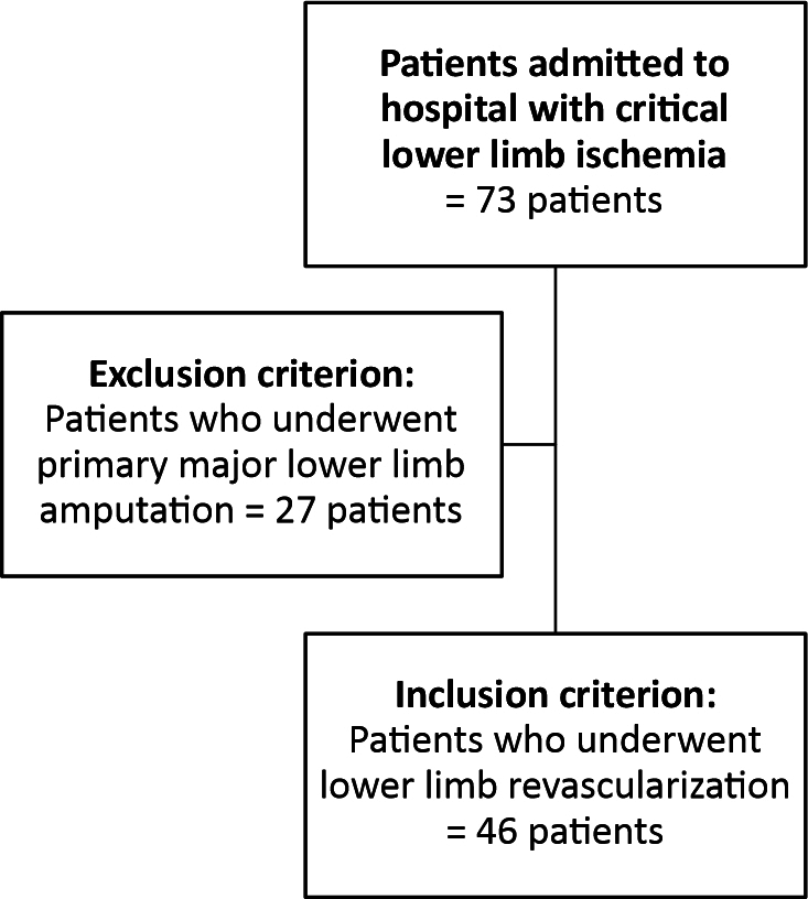 Vascular resistance index and the immediate hemodynamic success of lower limb distal artery revascularization.