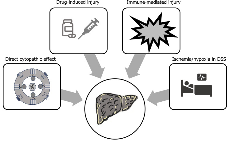 Dengue induced acute liver failure: A meta summary of case reports.