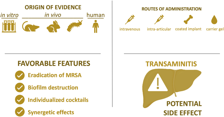 Phage therapy in prosthetic joint infections caused by Staphylococcus aureus - A literature review.