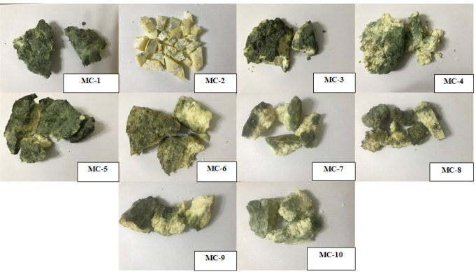Highlighting the Microbial Community of Kuflu Cheese, an Artisanal Turkish Mold-Ripened Variety, by High-Throughput Sequencing.