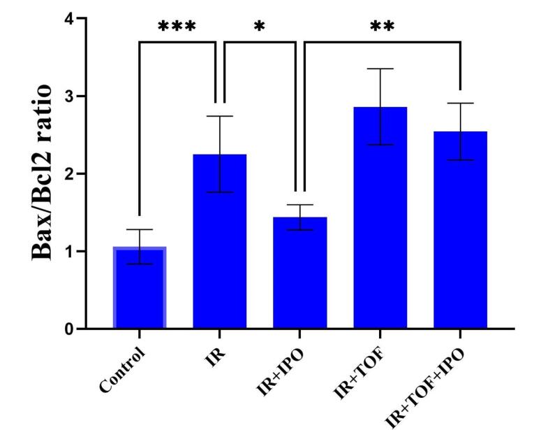 The Role of the JAK-STAT Signaling Pathway in the Protective Effects of Hepatic Ischemia Post-conditioning Against the Injury Induced by Ischemia/Reperfusion in the Rat Liver.
