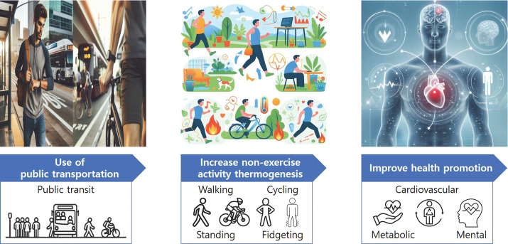 Effects of public transportation use on non-exercise activity thermogenesis and health promotion: a mini-review.